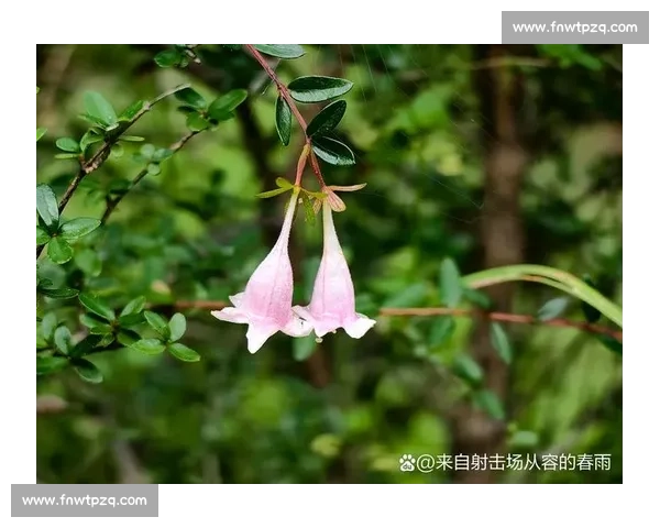 白教视角：滔搏八强之路，每一秒都攥心